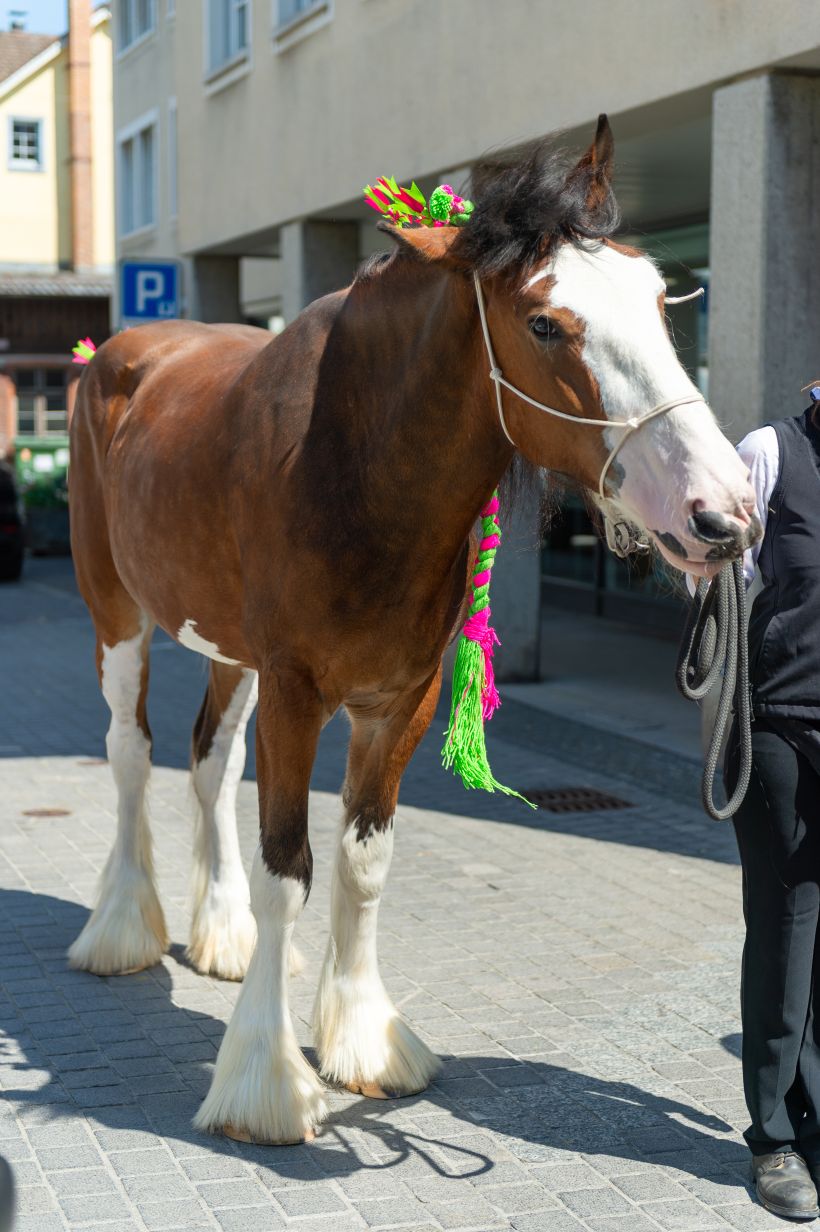 DSC_1018.jpg
